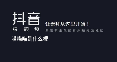 喵喵喵意思介绍