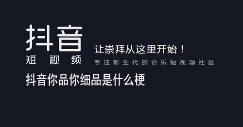 抖音你品你细品是什么梗