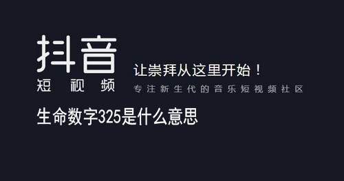 生命数字325意思介绍