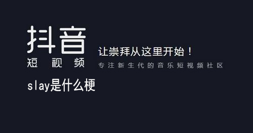 slay意思介绍