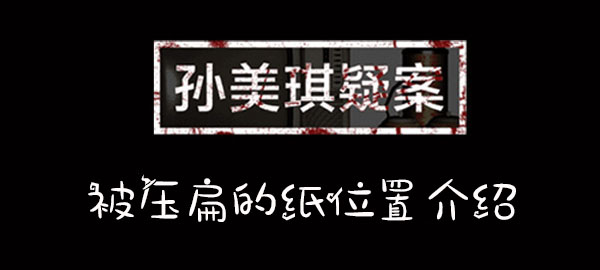 孙美琪疑案王爱国被压扁的纸位置介绍