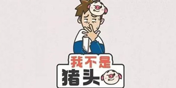 我不是猪头攻略大全