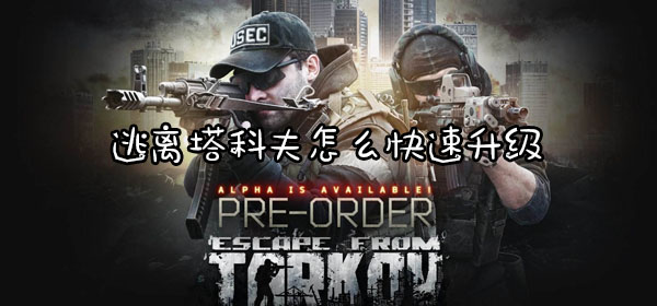 逃离塔科夫怎么快速升级