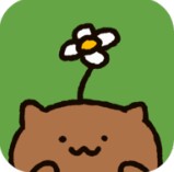 猫咪庭院物语