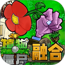 植物僵尸冲突